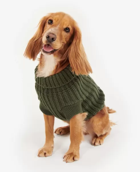 Accessories Buy Coats Barbour Saltburn Dog Jumper Pink Dahlia